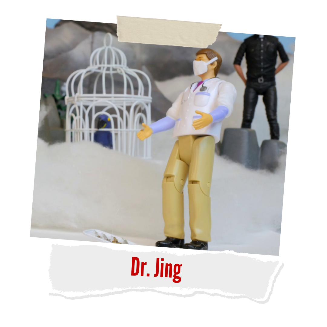 Dr. Jing